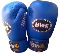Боксёрские перчатки Everlast, World Sport (кожа)