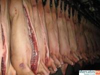 Недорогое мясо свинины