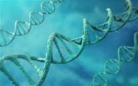 Визначення батьківства – 99 відсотків точність ДНК тесту