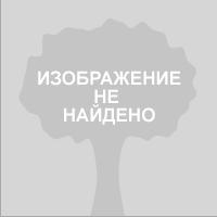 Шнековый транспортер для цемента, Крым, Симферополь